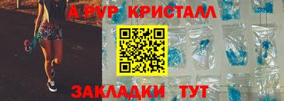 скорость Кингисепп