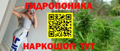 скорость Кингисепп