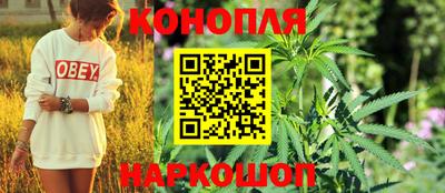 скорость Кингисепп